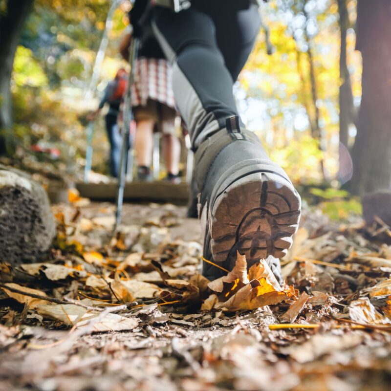 Hiker on a leaf-covered fall trail near Provo, Utah