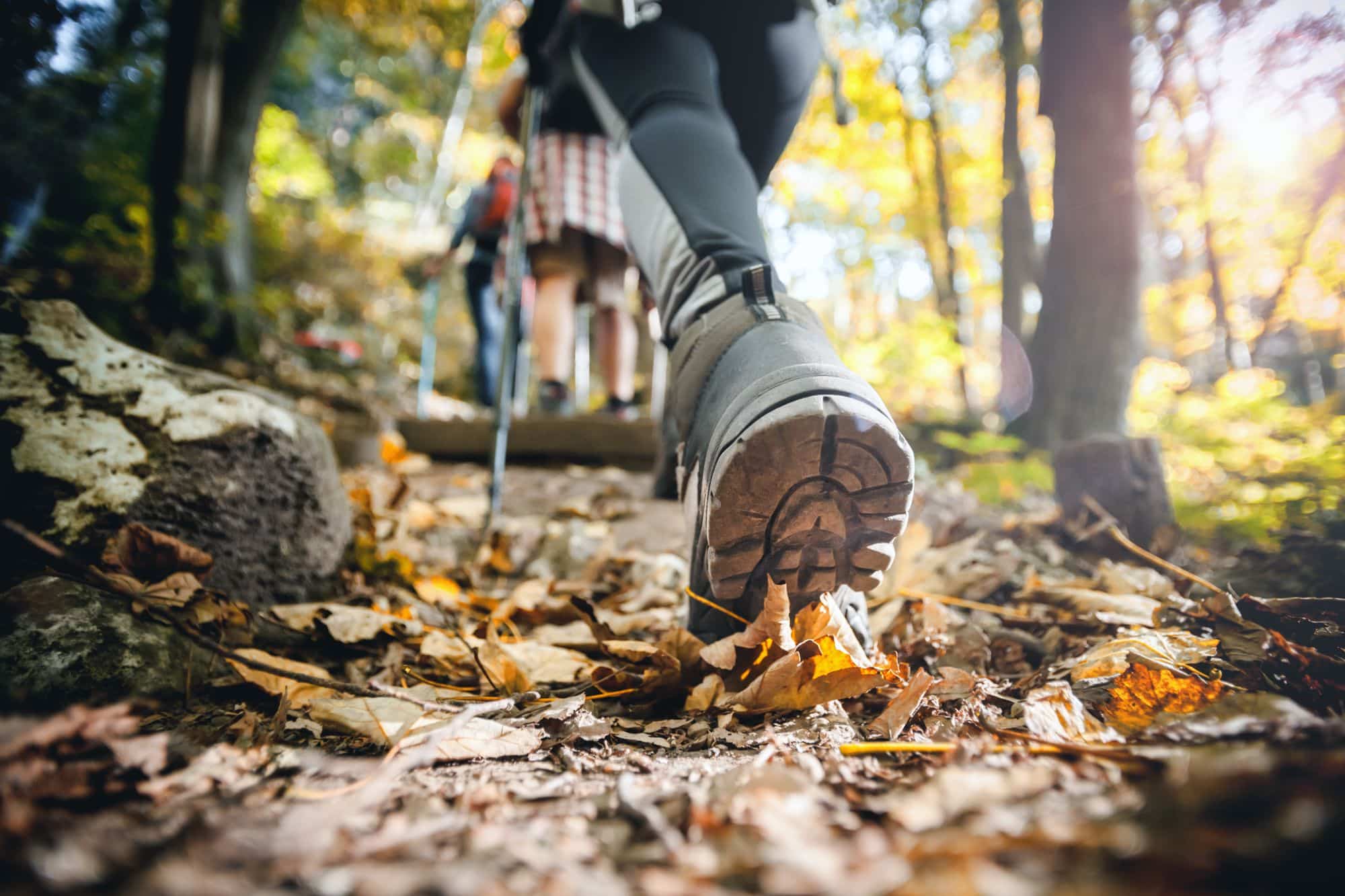 Hiker on a leaf-covered fall trail near Provo, Utah